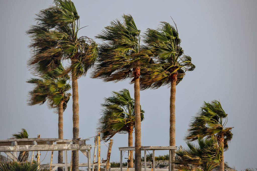 La tempête Isaias fait quatre morts