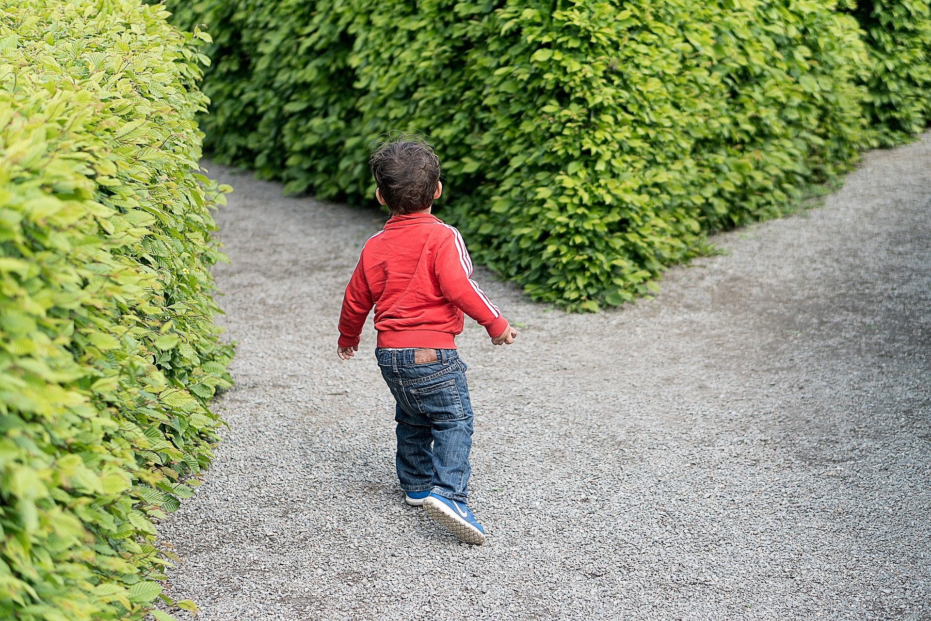 Un labyrinthe végétal à Vigy