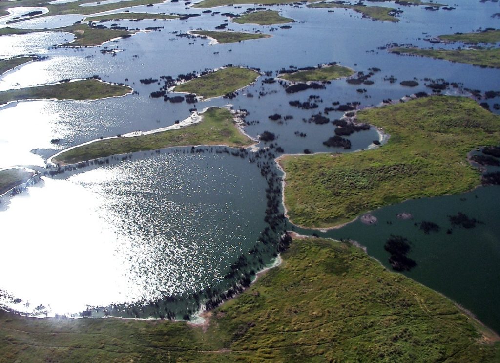 Le Pantanal ravagé par les flammes